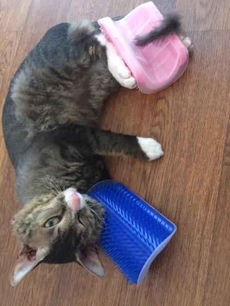 KittyRub - Cat Massage Comb