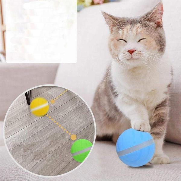 AutoPlay - Interactive Rolling Pet Toy