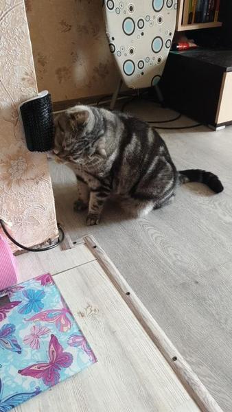 KittyRub - Cat Massage Comb