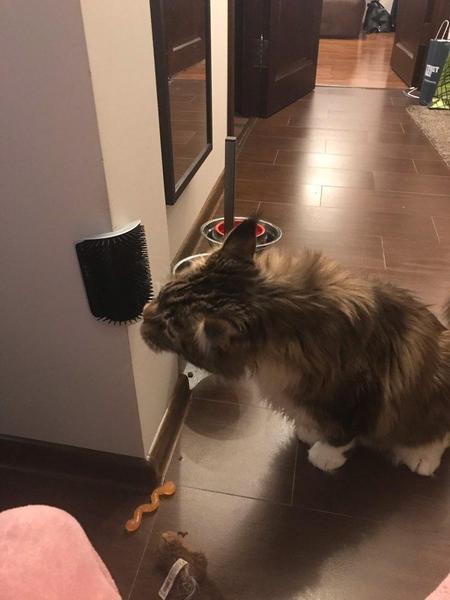 KittyRub - Cat Massage Comb