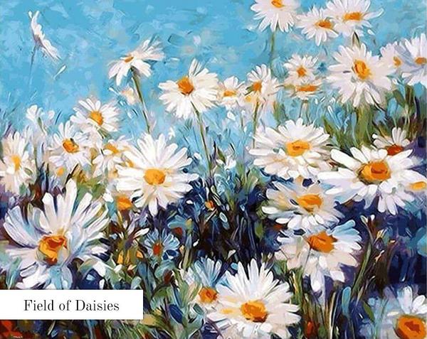 Van-Go Paint by Number Kits