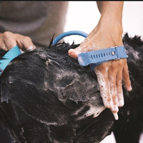 BrushClean - Shampoo Lather Glove Pet Bath Hose