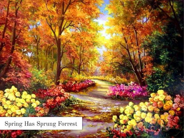 Van-Go Paint by Number Kits