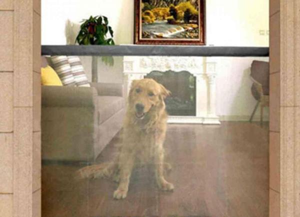 The Photo Family Tree