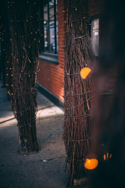 Trixie - LED Solar Powered Fairy Lights