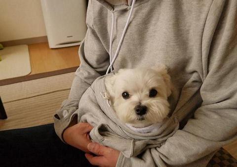 The Doggie Kangaroo Hoodie