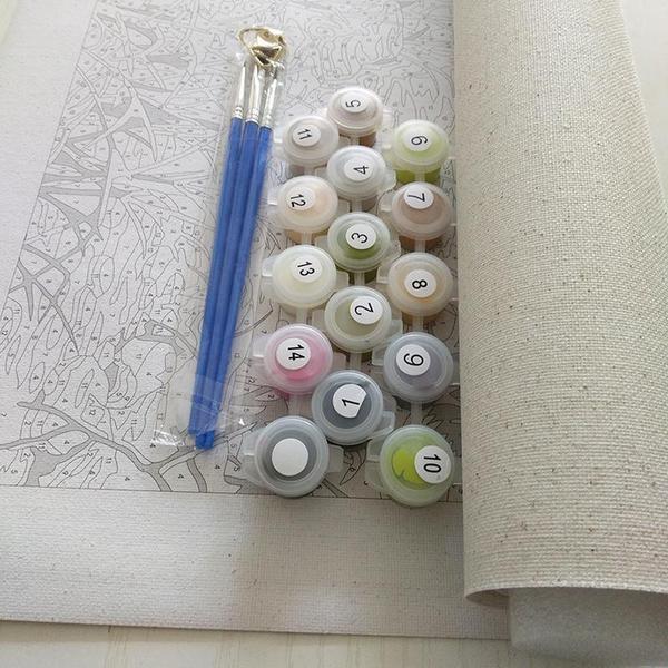 Abundant Pink Flowers - Van-Go Paint-By-Number Kit