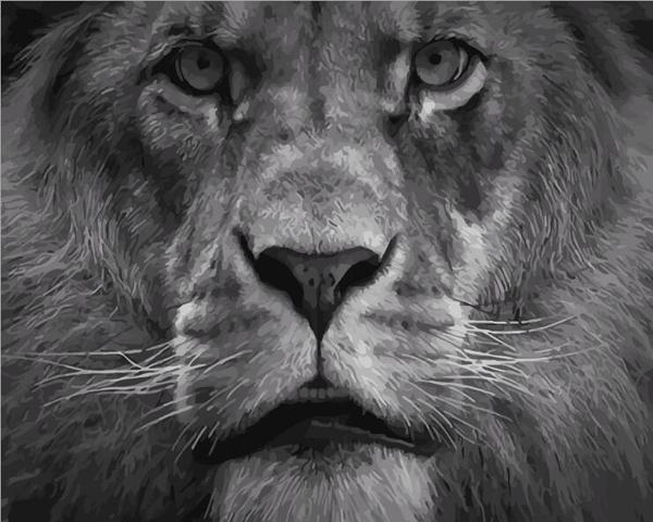 King of the Jungle - Van-Go Paint-By-Number Kit