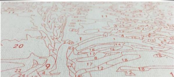 King of the Jungle - Van-Go Paint-By-Number Kit