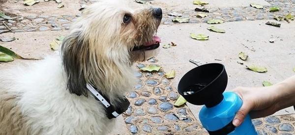 PortaWater - Portable Dog Water Bottle