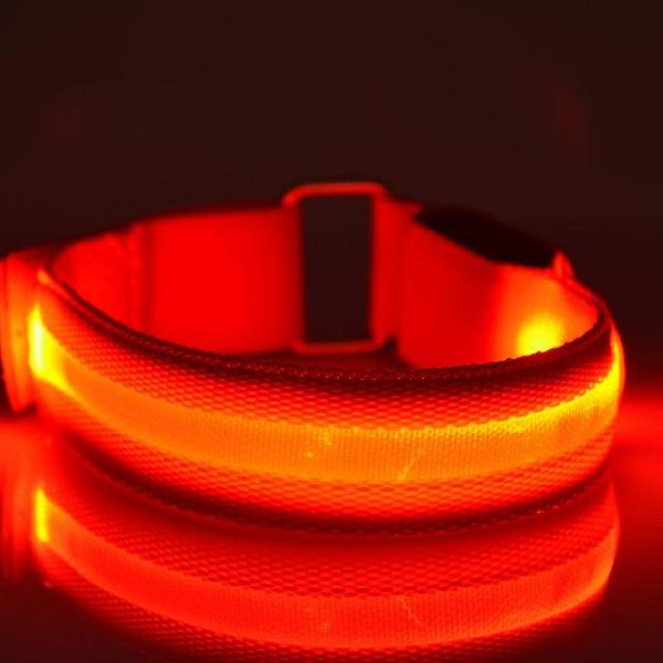 LightUp - Glowing LED Sport Band