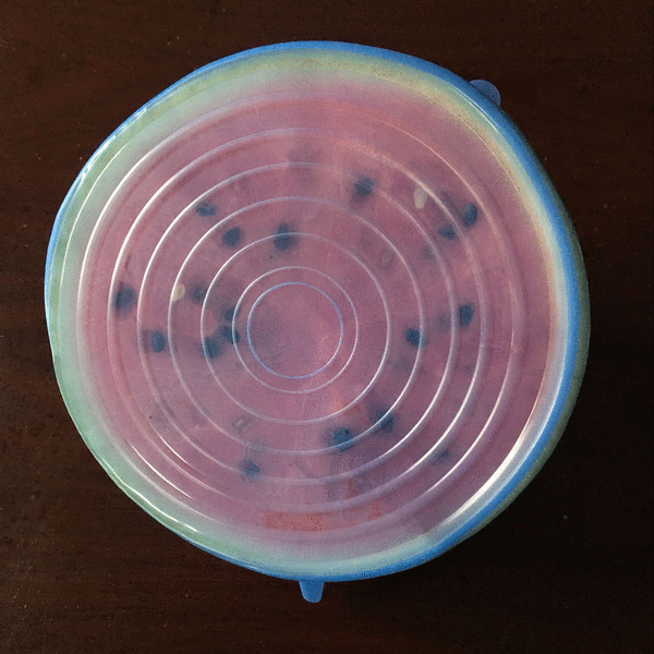 EcoLid - 6 Silicone Reusable Stretch Covers