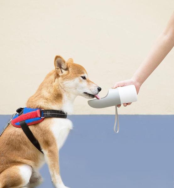 HydraPet - Portable Water Bottle & Cup