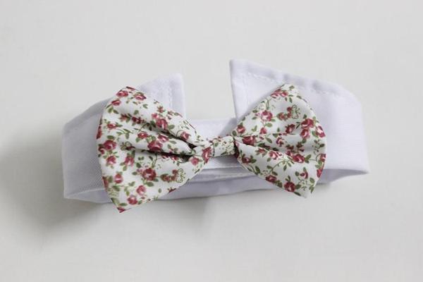 Dapper Pet Bow-Ties - For Cats & Dogs