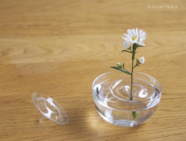 Ripple - Magic Floating Flower Vase