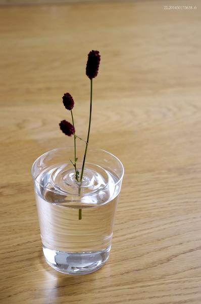 Ripple - Magic Floating Flower Vase