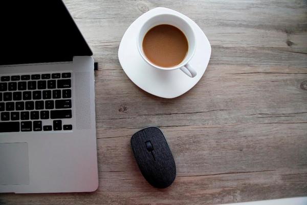 Pax - Wireless Ergonomic Fabric Covered Mouse