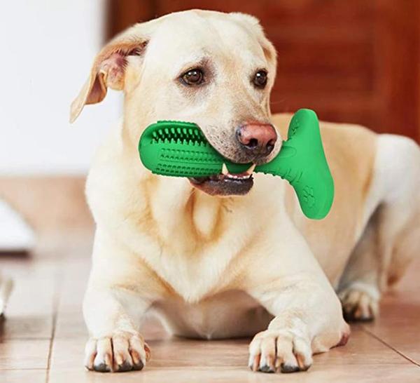 Denchew - Pet Toy Toothbrush