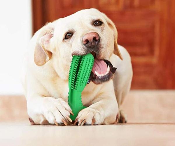 Denchew - Pet Toy Toothbrush