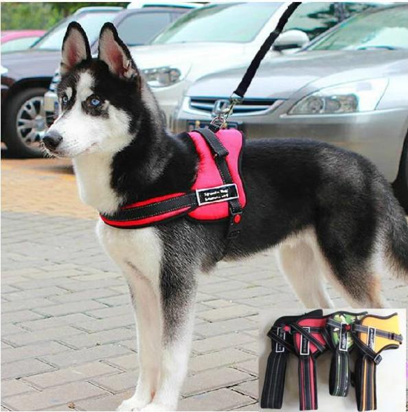 Dog Walking Harness
