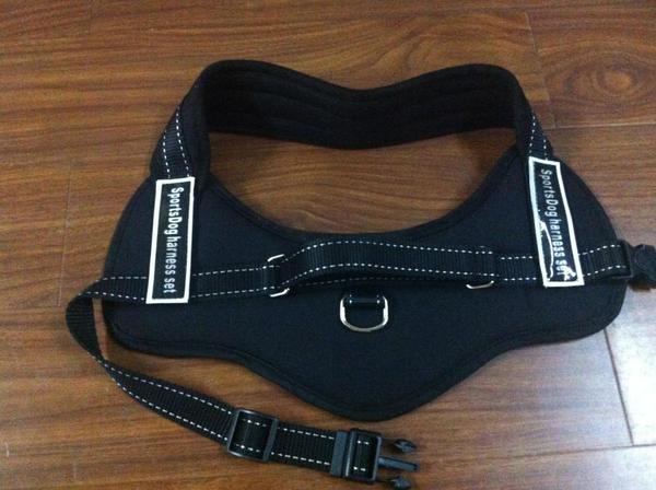 Dog Walking Harness