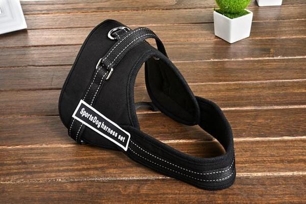 Dog Walking Harness