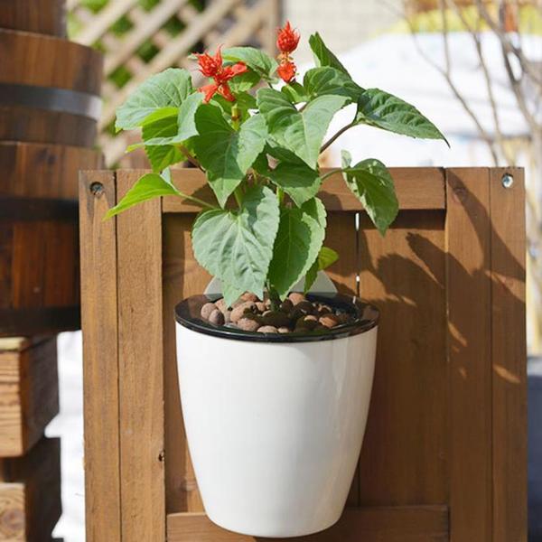 InstanWater - Self Watering Hanging Planter