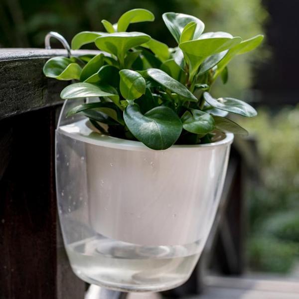 InstanWater - Self Watering Hanging Planter
