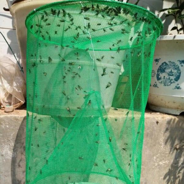 MoziNet - Hanging Fly Mosquito Trap