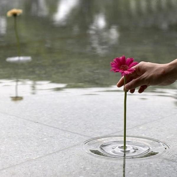 Ripple - Magic Floating Flower Vase