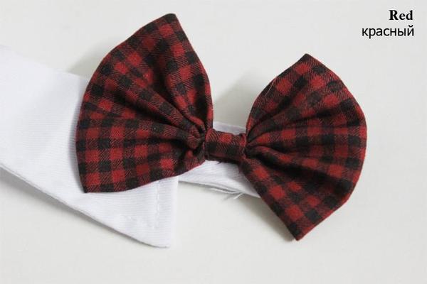 Dapper Pet Bow-Ties - For Cats & Dogs