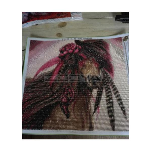 Dream Catching Wild Horse - GemPaint™ Kit