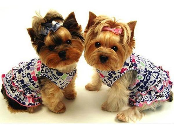 It's a Dog's Life - GemPaint™ Kit