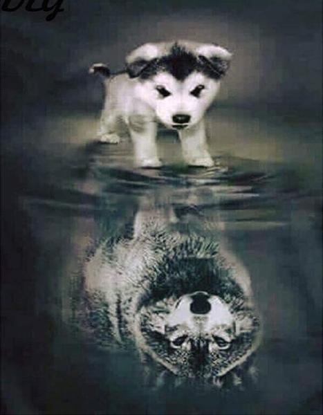 It's a Dog's Life - GemPaint™ Kit