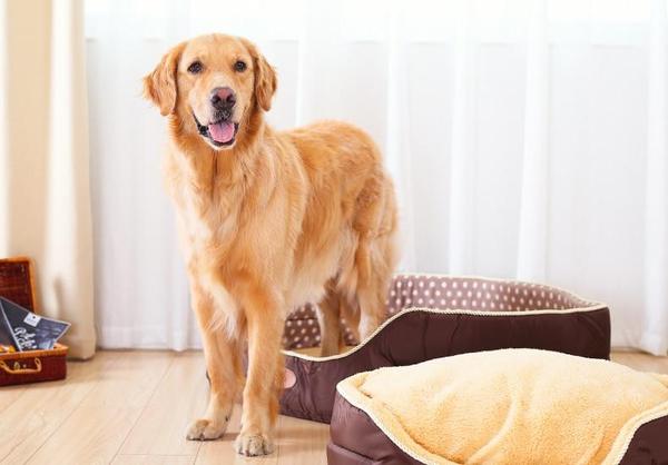 Susie - Double Sided Fleece Pet Bed