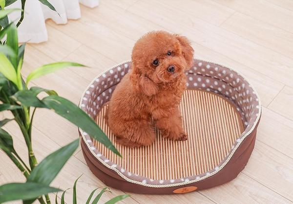 Susie - Double Sided Fleece Pet Bed