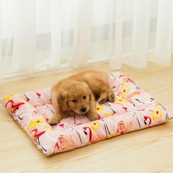 Henry - Pet Bed Cushion