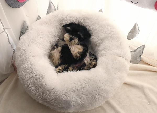 Mini - Round Fluffy Plush Pet Bed
