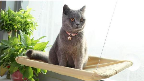 Otis - Window Hammock Hanging Shelf Cat Bed