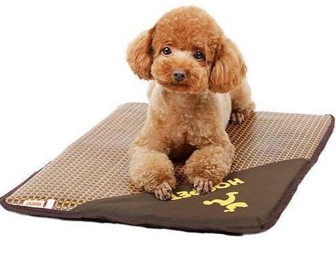 Baxter - Summer Time Cooling Pet Mat