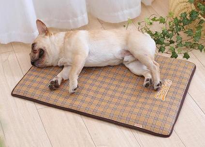 Baxter - Summer Time Cooling Pet Mat