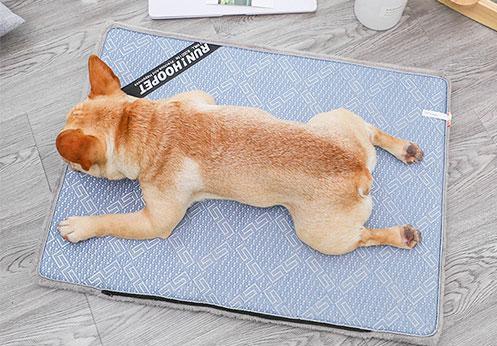 Baxter - Summer Time Cooling Pet Mat