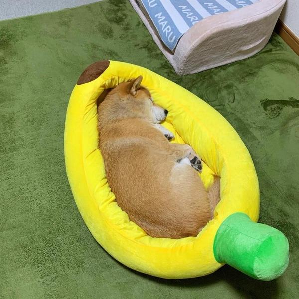 Nahni - Banana Canoe Pet Bed