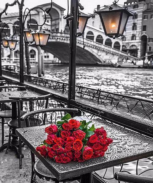 Red Rose Bouquet - Van-Go Paint-By-Number Kit