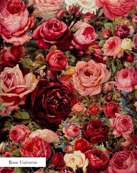 Van-Go Paint by Number Kits