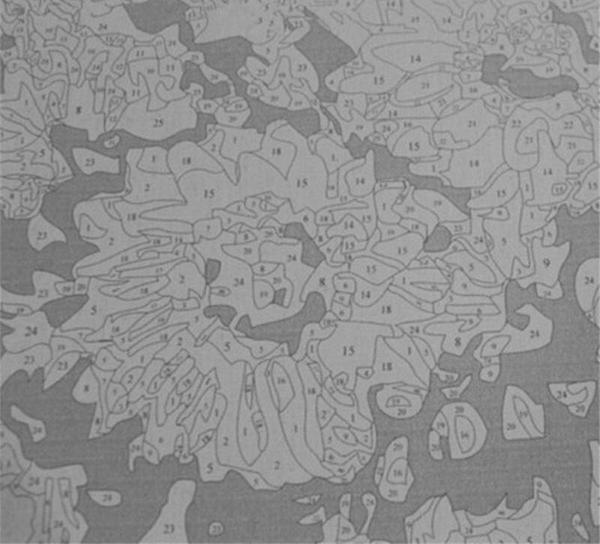 Lounging Wolves - Van-Go Paint-By-Number Kit